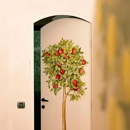 Casa Armonia فيلة