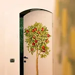 Casa Armonia ヴィラ